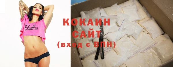 бошки Бородино