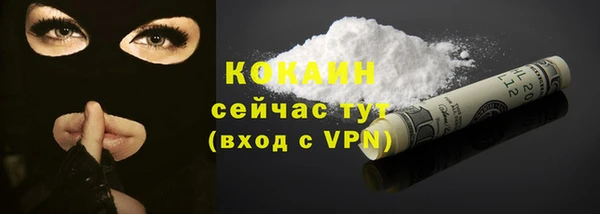 бошки Бородино