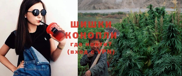 бошки Бородино